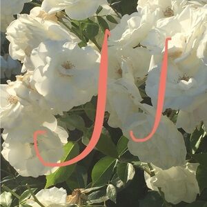 Meet your Posher, JuniperJeans